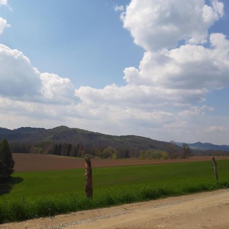 Fewo Schiffner Lägenhet Bad Schandau Exteriör bild