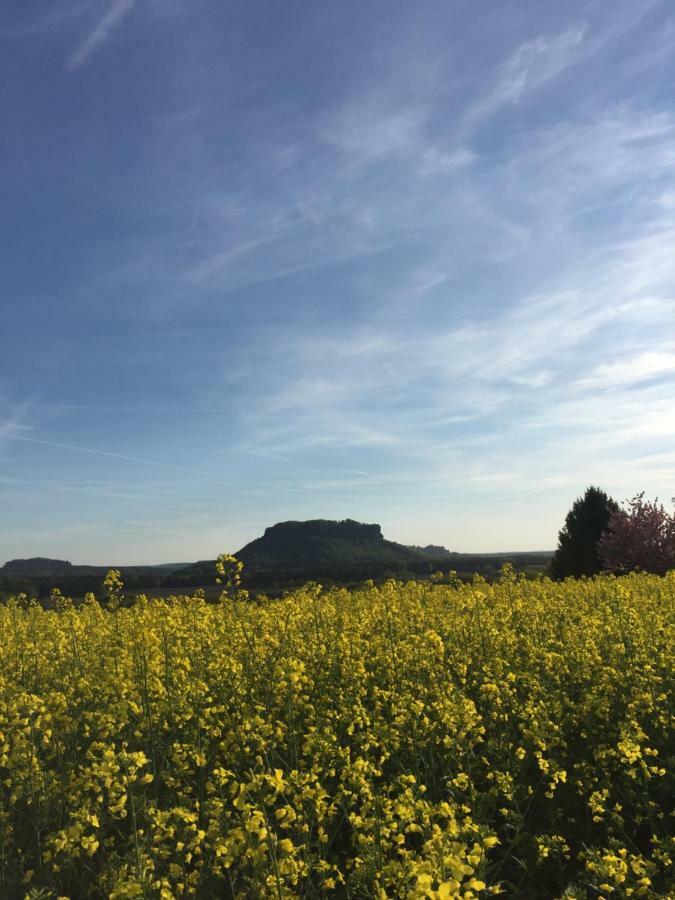 Fewo Schiffner Lägenhet Bad Schandau Exteriör bild